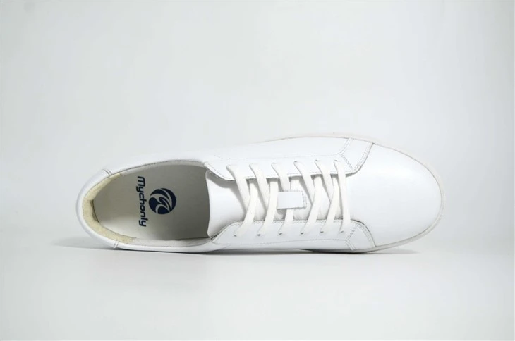 White Low Top Sneakers